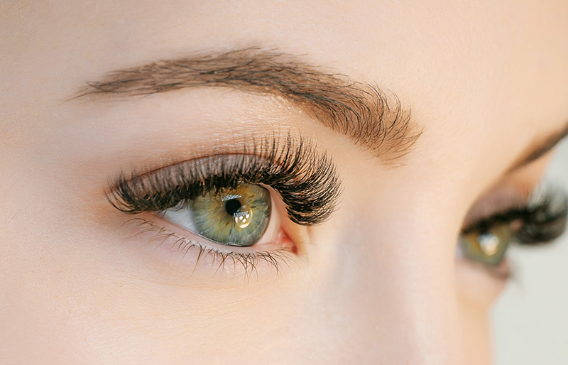 lash lift and tint Rowville